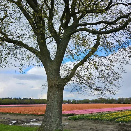 Wapen van Exloo-2